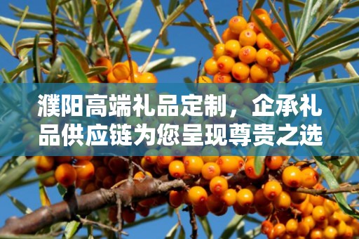 濮阳高端礼品定制，企承礼品供应链为您呈现尊贵之选