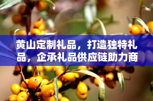 黄山定制礼品，打造独特礼品，企承礼品供应链助力商务推广