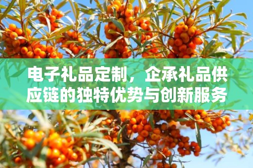 电子礼品定制，企承礼品供应链的独特优势与创新服务